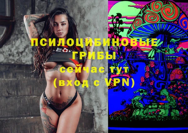 спиды Алексин