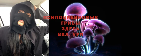 PSILOCYBIN Бугульма