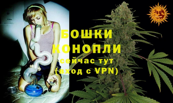 молекула духа Михайлов