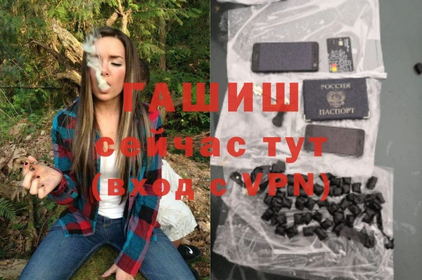 молекула духа Михайлов