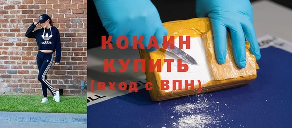 молекула духа Михайлов