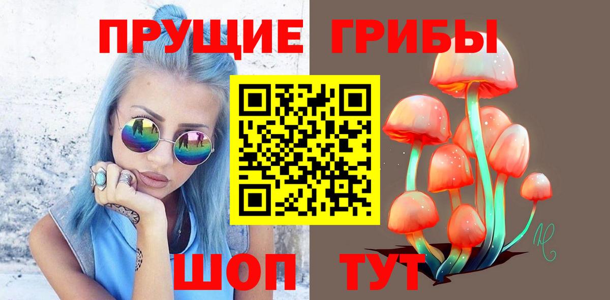 Галлюциногенные грибы прущие грибы  Вход с VPN  Псилоцибиновые грибы прущие грибы  цены   Стрежевой 