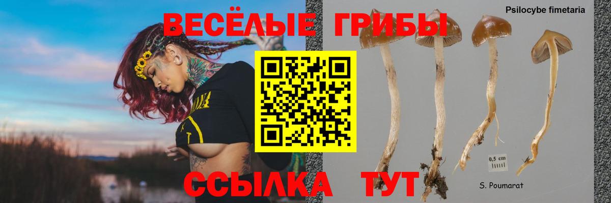 МДМА Стрежевой